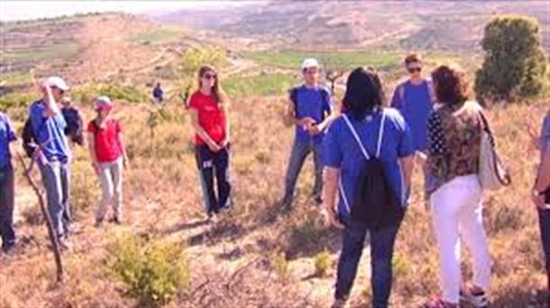 El 13&nbsp;% de la sociedad vasca participa en actividades de voluntariado