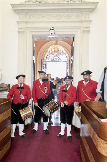 Pleno de inversitura del Dip Gral Álava, 04.07.2019
