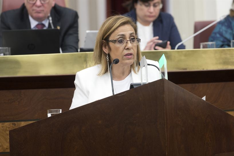 Pleno de inversitura del Dip Gral Álava, 04.07.2019