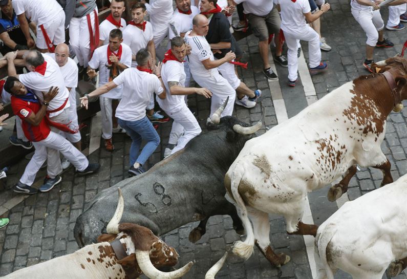 Octavo encierro de los sanfermines, el 14 de julio de 2019.