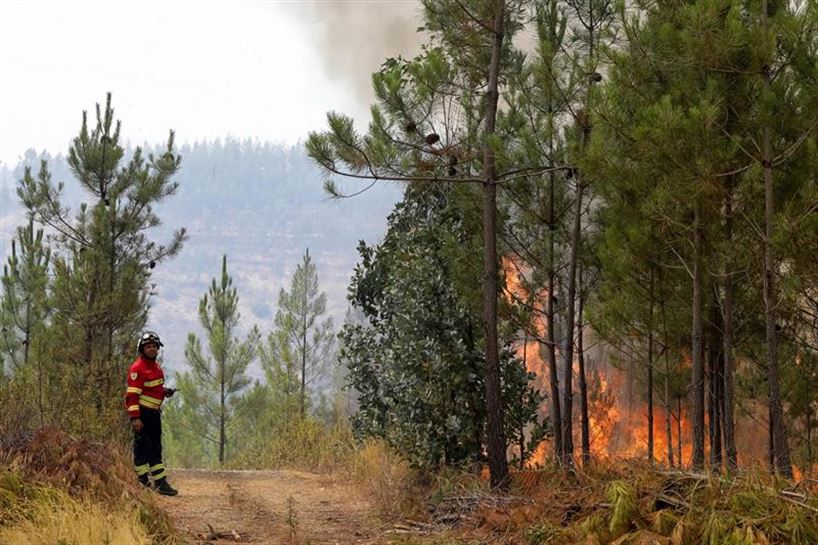Portugal lucha contra el incendio más complicado del verano. Foto: EFE