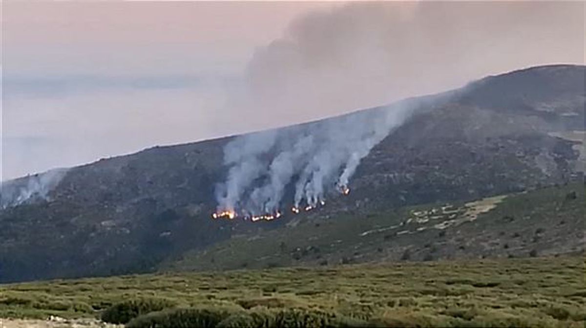 Guadarramako sutea