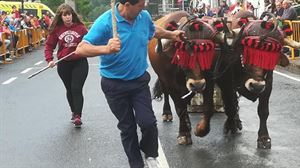 'Egun txarra duzunean, segituan ohartzen dira idiak'