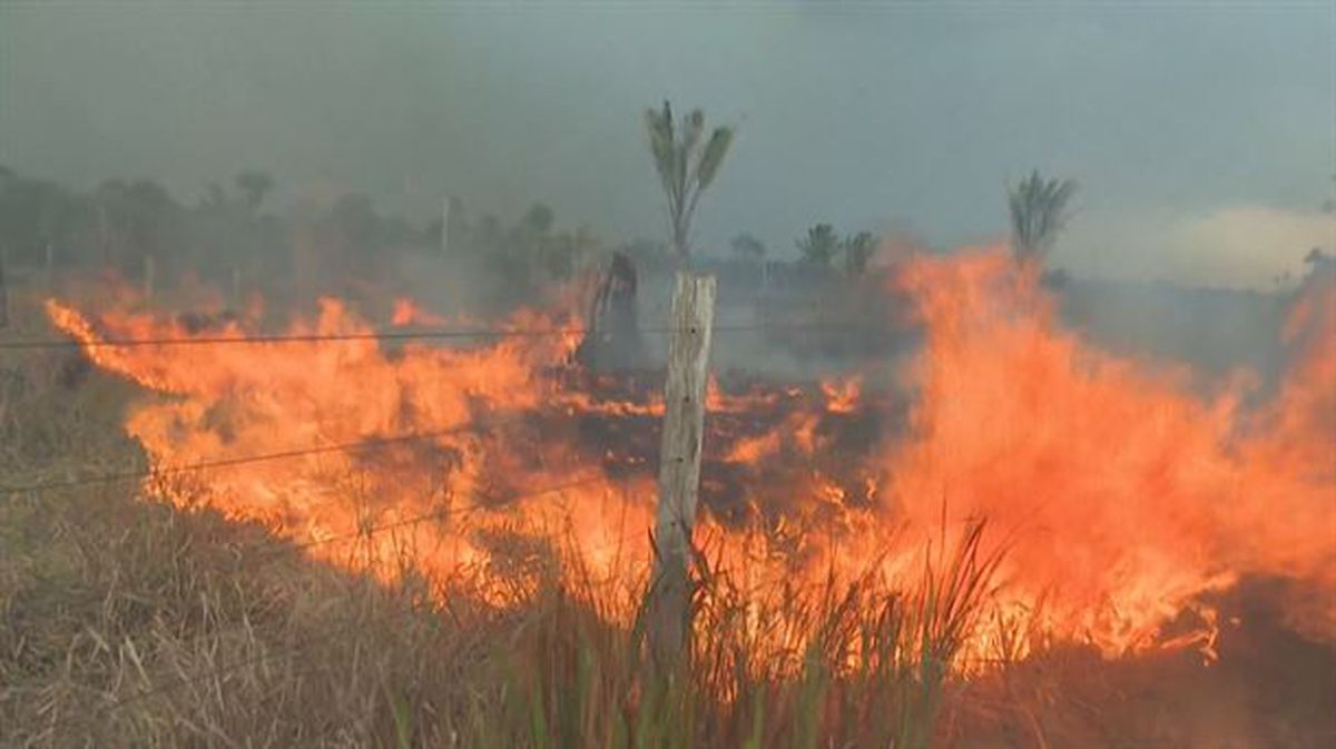 Las llamas siguen devorando la selva amazónica