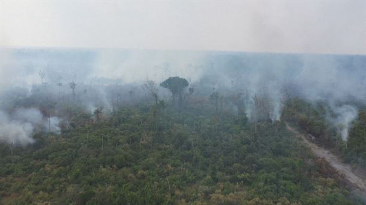 Un bombero trabaja en las labores de extinción del fuego en Amazonas. 
