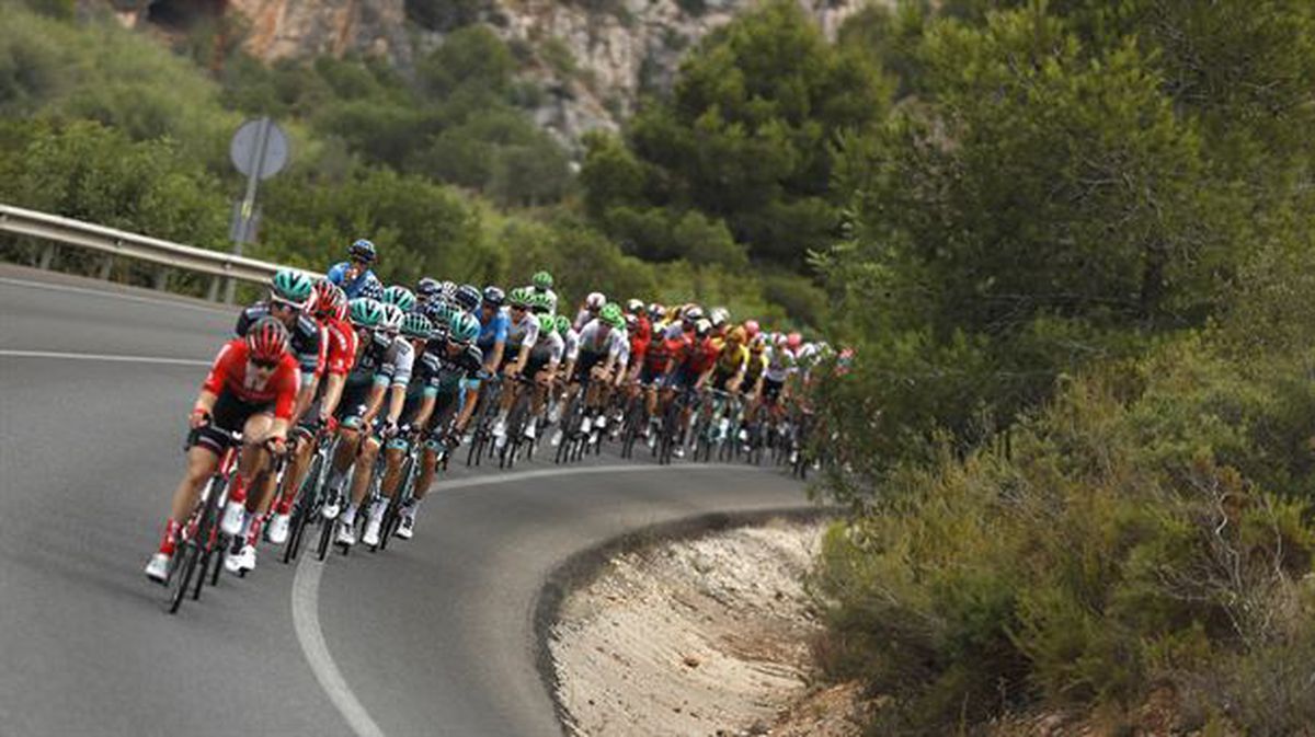 Pelotón durante la Vuelta a España 2019. 