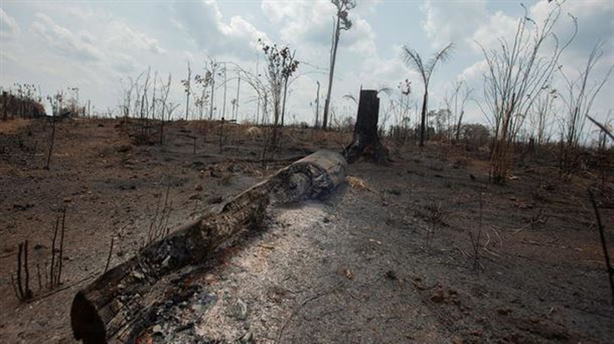 Una de las áreas destruidas por fuego en la selva amazónica, en el estado de Rondonia (Brasil).