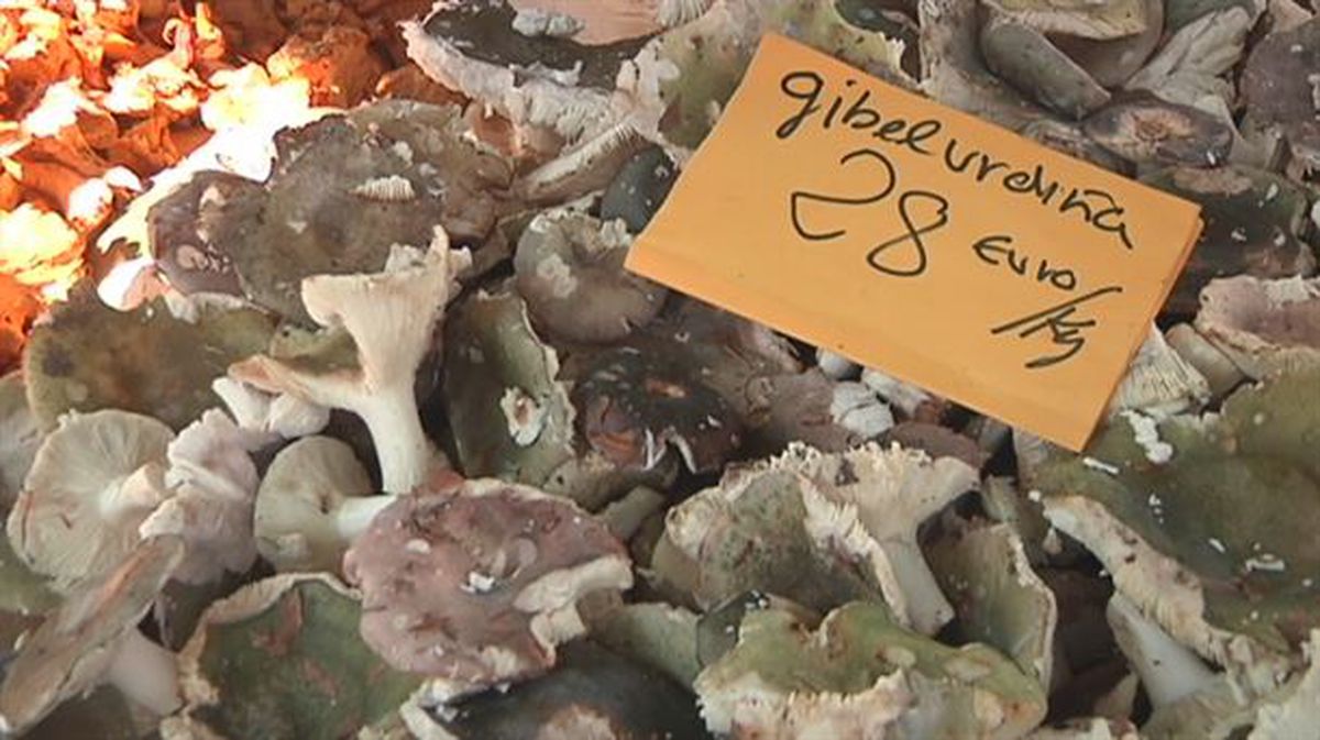 Las setas gibel urdina a 28 euros el kilo en el mercado de Ordizia