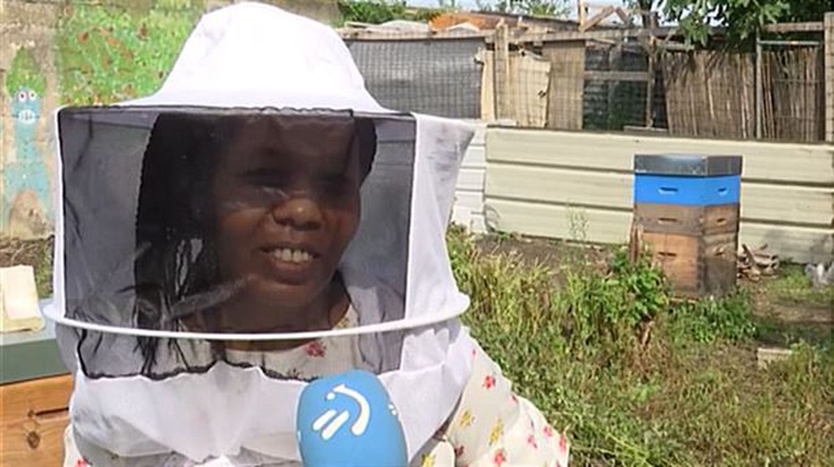 Migrantes aprendiendo apicultura