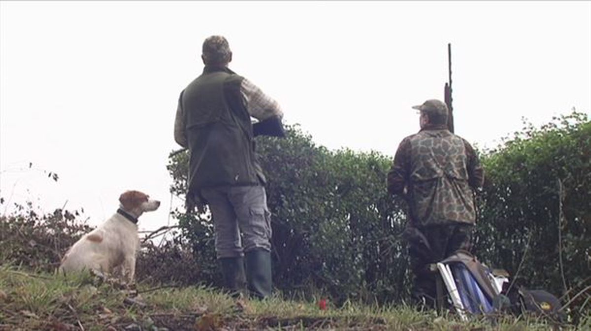 Dos cazadores junto a un perro de caza en el monte