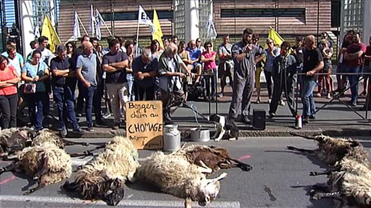 Protesta bilkura egin dute Baionan laborariek