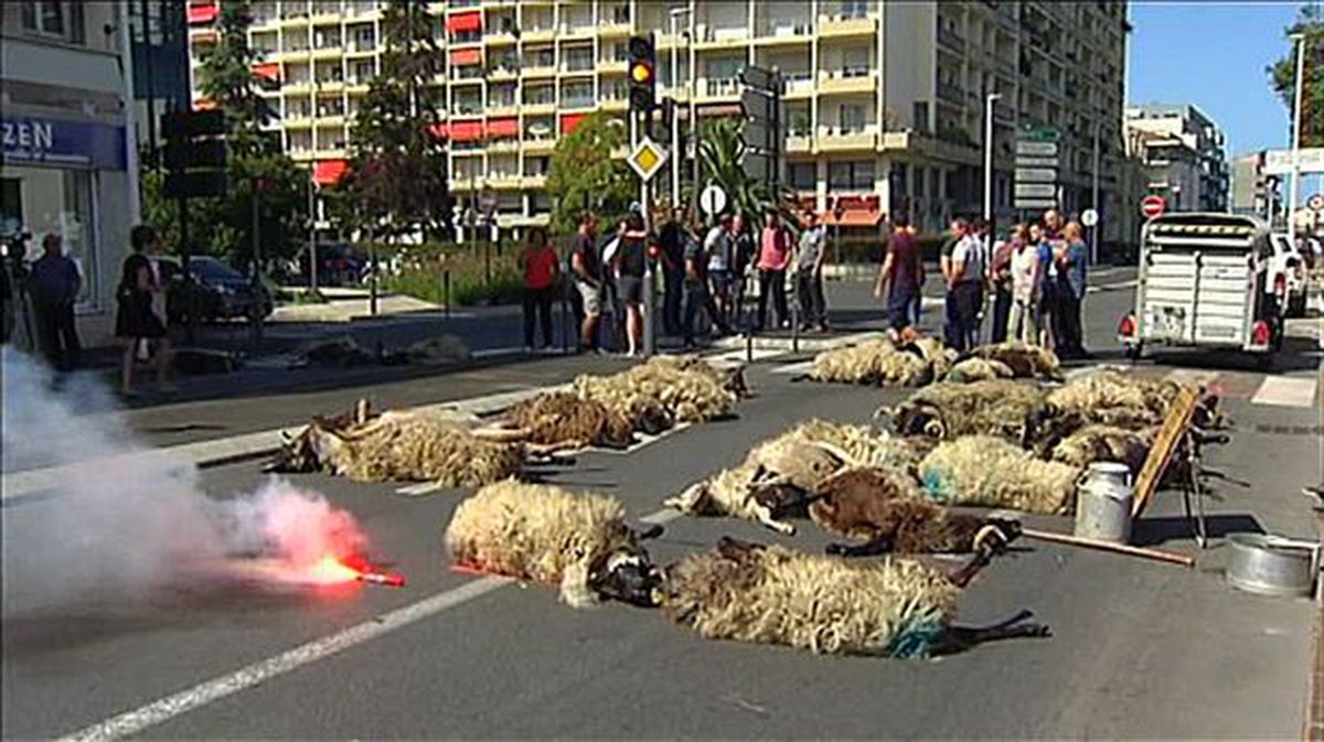 Protesta de pastores en Baiona