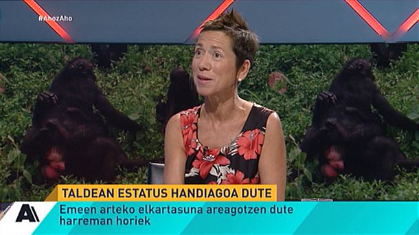 Bonobo tximinoak, emeen arteko sexu harremanei esker bizi den espeziea