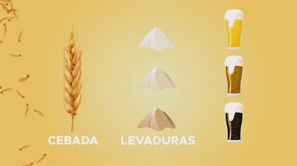 Ciencia animada: Un buen trato con la levadura