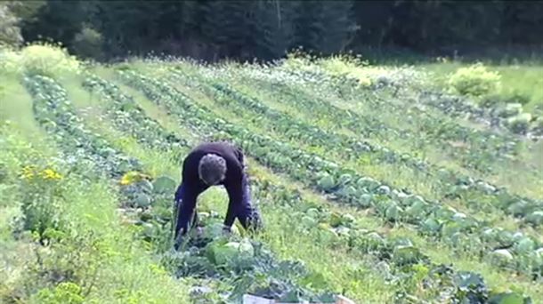 Un hombre trabaja en su huerta