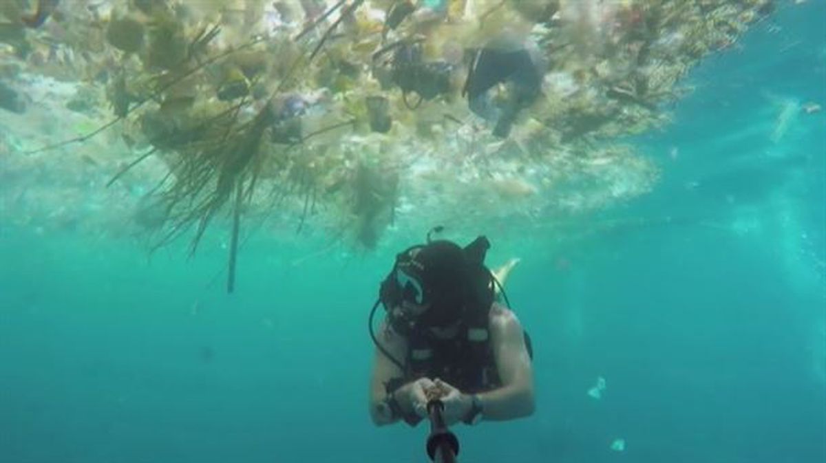 Un submarinista graba un cúmulo de residuos en el océano