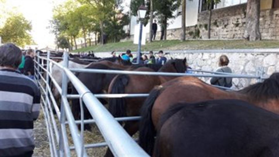 Radio Vitoria Gaur Magazine desde Agurain