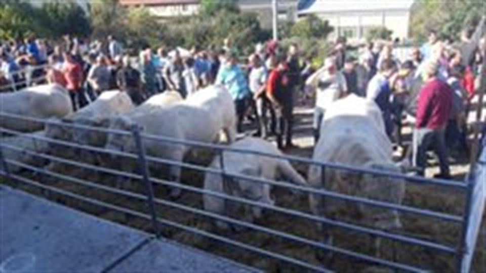 Radio Vitoria Gaur Magazine desde Agurain