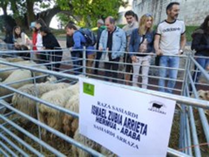 Feria de Agurain 2019