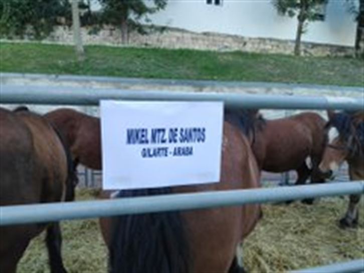 Feria de Agurain 2019