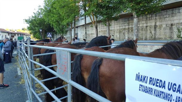 FERIA. AGURAIN. GANADO. CABALLO.