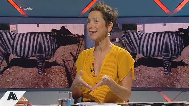 Zertarako balio dute zebren marrek? Behiak margotu dituzte hori argitzeko