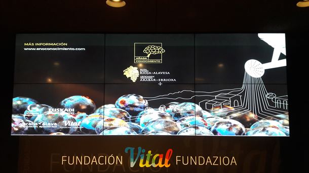 Rioja Alavesa acogerá un foro de análisis del vino como eje del turismo.  