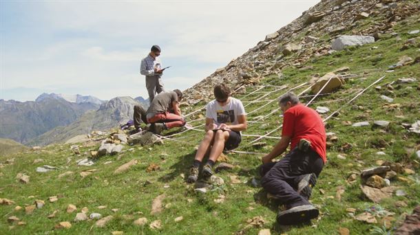 La flora pirenaica ante la crisis