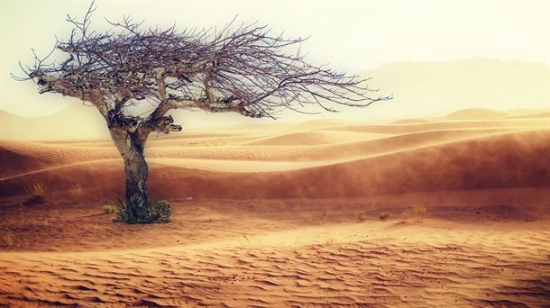 Desierto - Pixabay