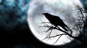El cuervo: el ave del mal fario, de la amenaza, y del terror