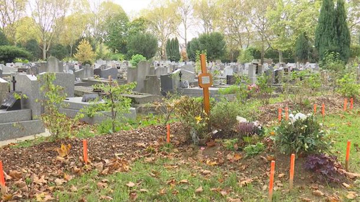 El cementerio ecológico de París