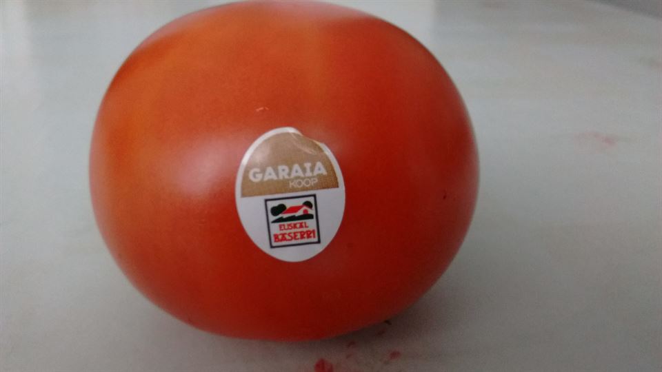 tomate. Pili Mendizabal, 06.11.2019