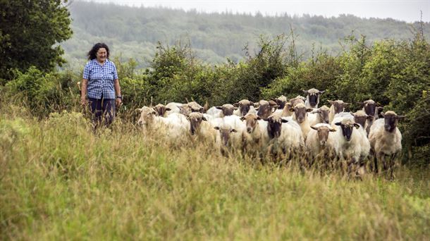 Estreno del documental sobre el pastoreo en Gorbeia 