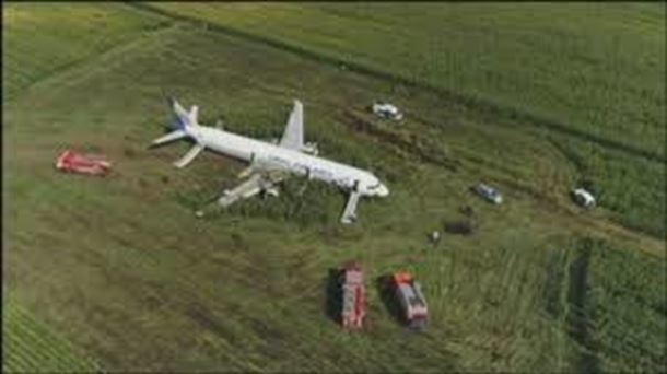 Gaviotas impactan con un avión que aterrizaba en Foronda