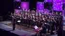 'Euskeria korua'k eta 'Paz de Ziganda' abesbatzak EiTB Jaian egindako bertsioa