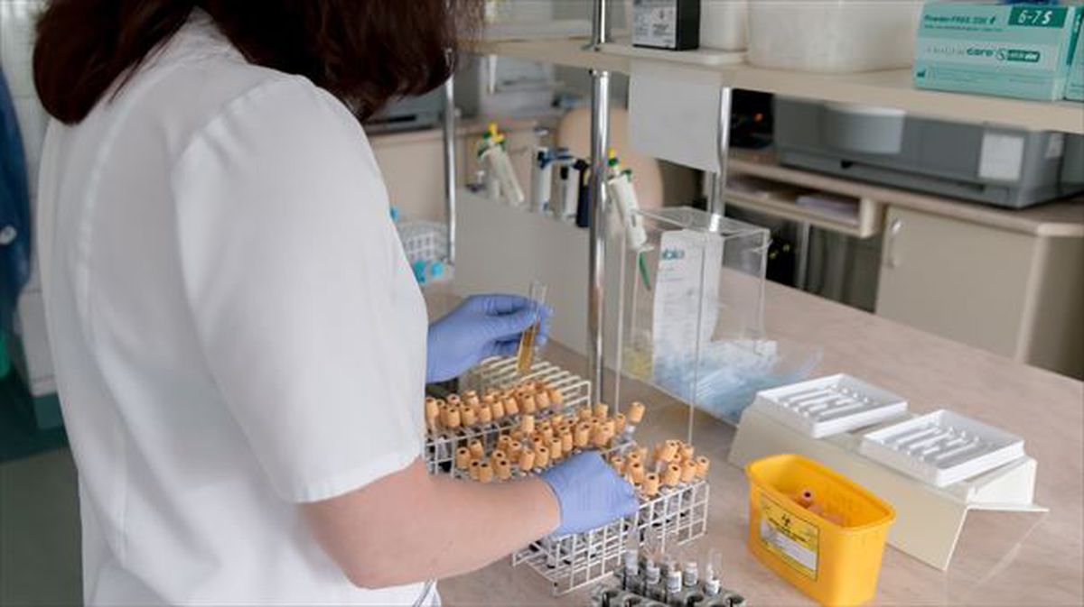 Una enfermera gestiona los tubos de análisis de sangre