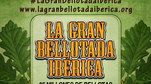 Cartel de 'La Gran Bellotada'. Fuente: Facebook