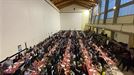 Goizuetarrak ere animatu dira 'Lau Teilatu' abestera