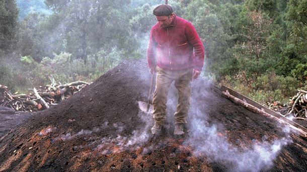 Txondorra o carbonera en los bosques vascos