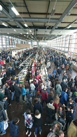 'MQP', en la Azoka de Durango. (Foto: Radio Euskadi)