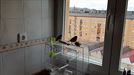 Beñat nos envía esta versión de 'Lau teilatu' interpretada por sus dos pájaros