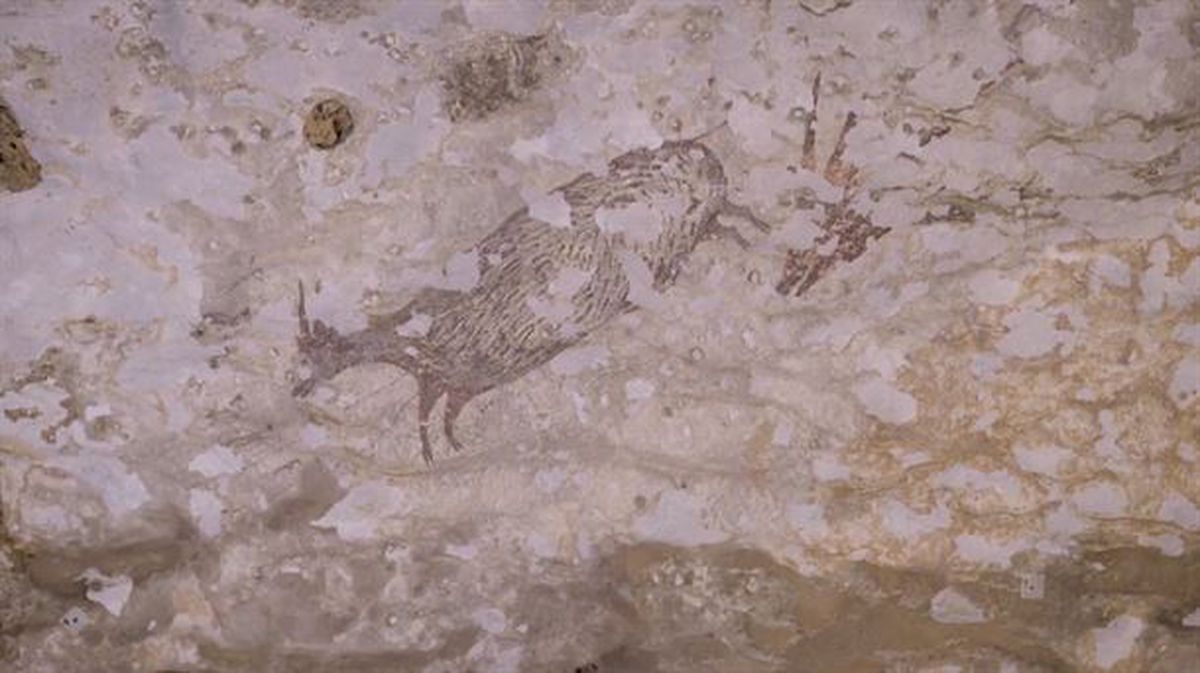 Gutxienez 44.000 urte dituzten labar-pinturak aurkitu dituzte Indonesian