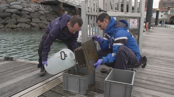 En busca de la biodiversidad marina