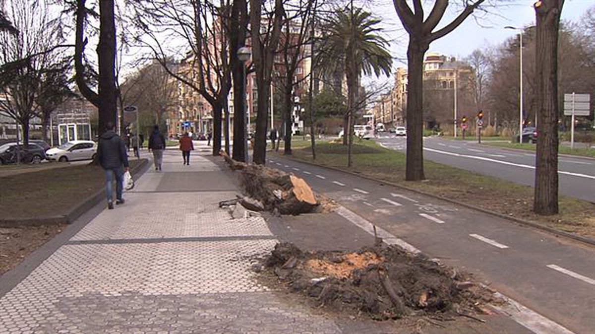 Denboralearen ondorioak Donostian