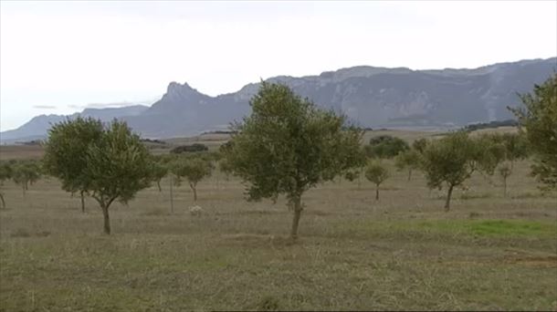 Lur Bizia (28/12/2019)