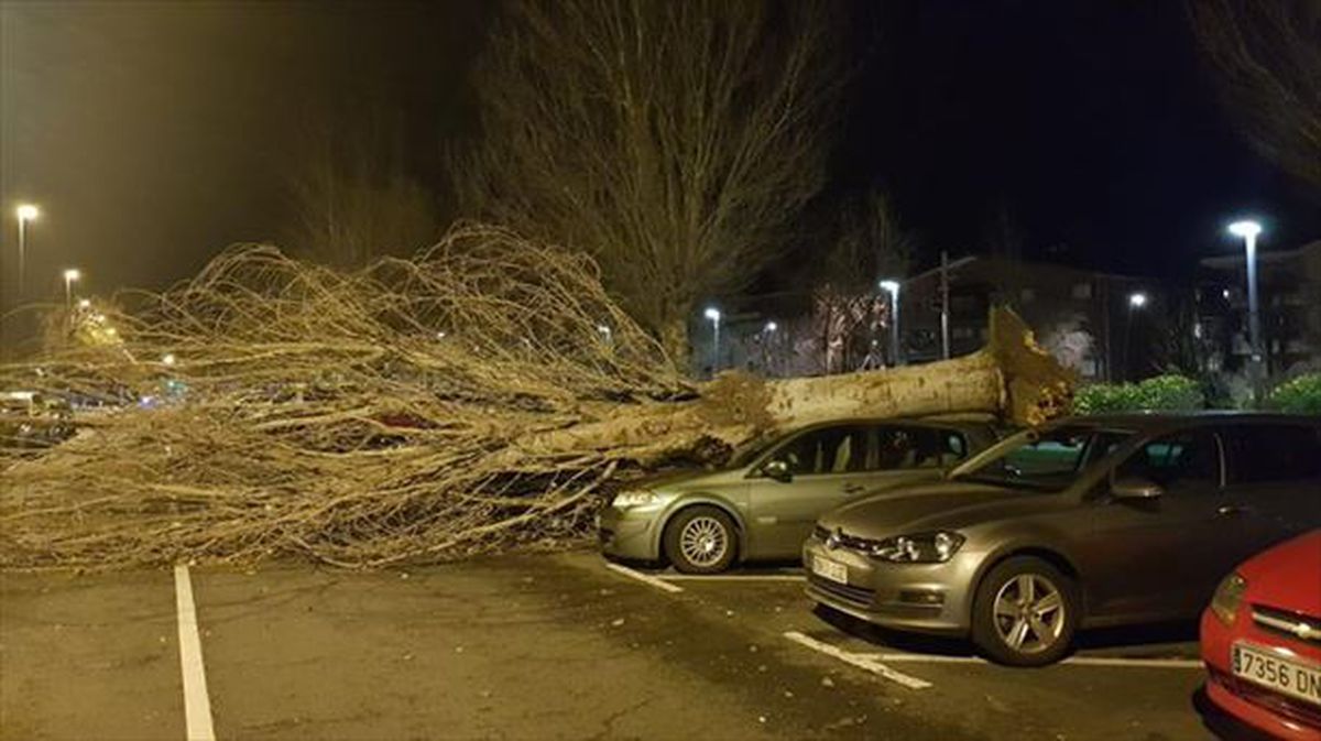 Los fuertes vientos causan numerosos desperfectos en Getxo.