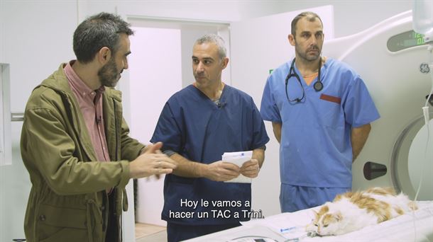Descubre los entresijos del hospital para animales de Donostia 