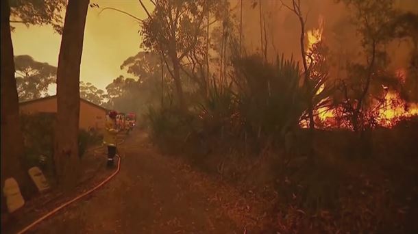 En lo que va del mes de junio ha habido 6 incendios forestales