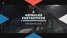 'Animales fantásticos y dónde encontrarlos', esta noche, en ETB2