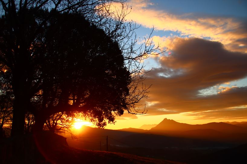 Garai (Txaro Ortiz de Zarate)